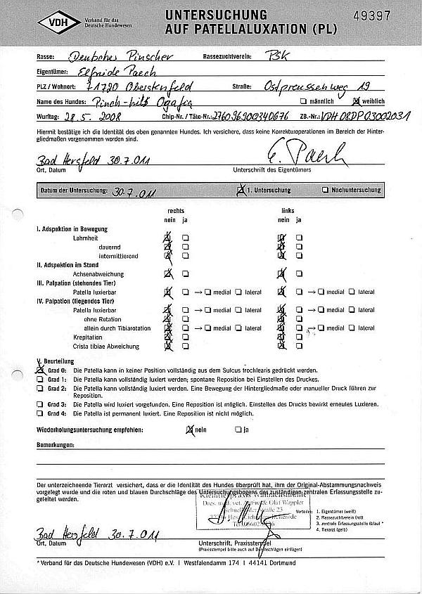 2. Patella Ogaf'ia