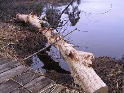 Bild 16