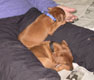 Bild 1948