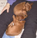 Bild 1955
