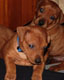 Bild 800