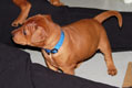 Bild 801