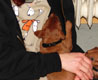 Bild 809