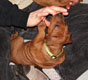 Bild 810