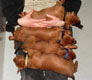 Bild 835