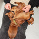 Bild 866