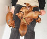 Bild 867