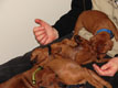 Bild 869