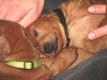 Bild 871