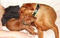 Bild 872