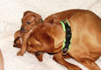 Bild 874
