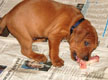 Bild 903