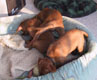 Bild 2021