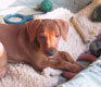 Bild 2033