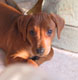 Bild 2037