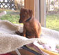 Bild 2039