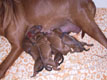Bild 1820