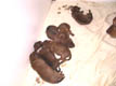 Bild 1825