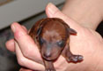 Bild 225