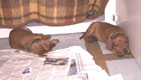 Bild 1957