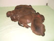 Bild 1831