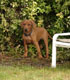 Bild 1302