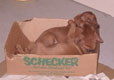 Bild 1991