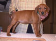 Bild 1999