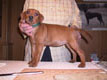 Bild 2000