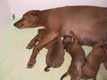 Bild 1842