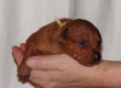 Bild 608