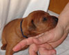 Bild 623