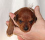 Bild 631