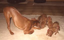 Bild 1901