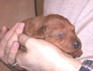 Bild 1922