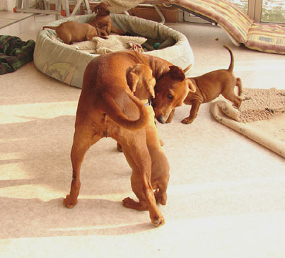 Bild 1078